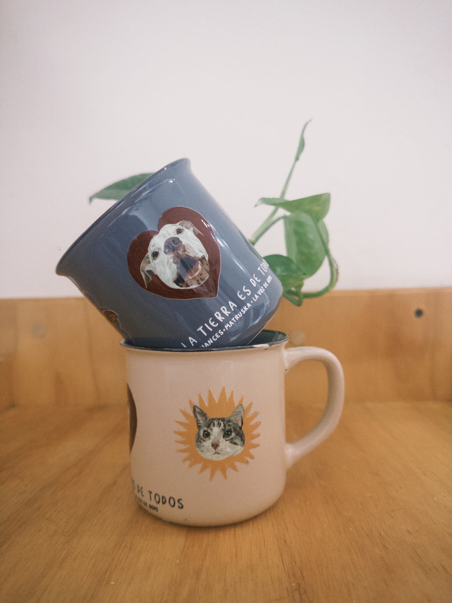 Mug Todos Sienten