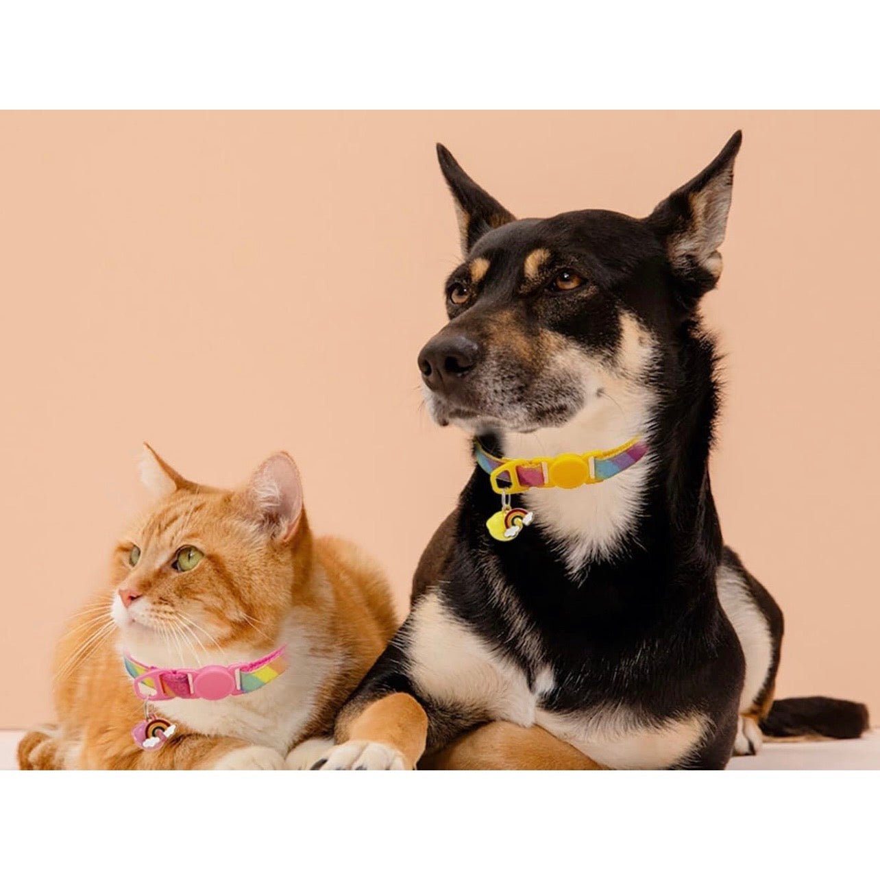 Collar Anti ahogo Graduable Arcoíris