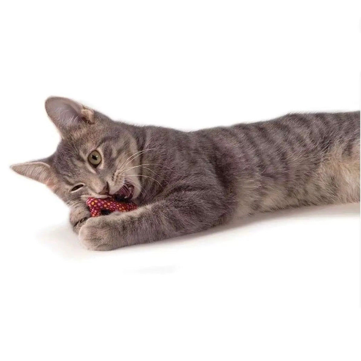 Juguete Dental Pretzel