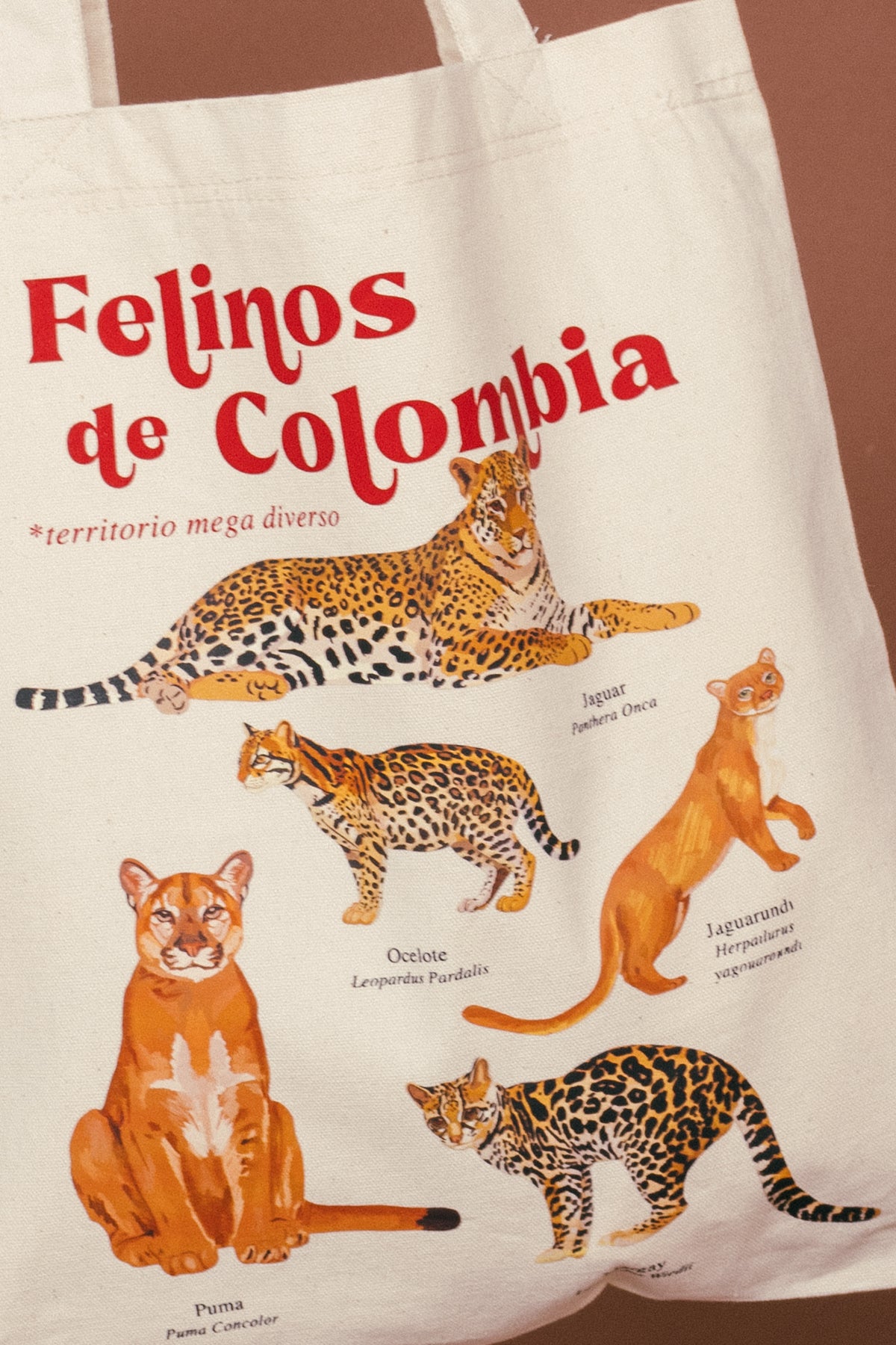 Totebag Felinos de Colombia