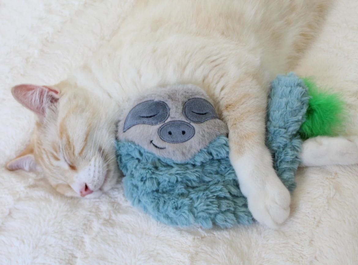 Peluche Ronroneo Antiestrés Koala