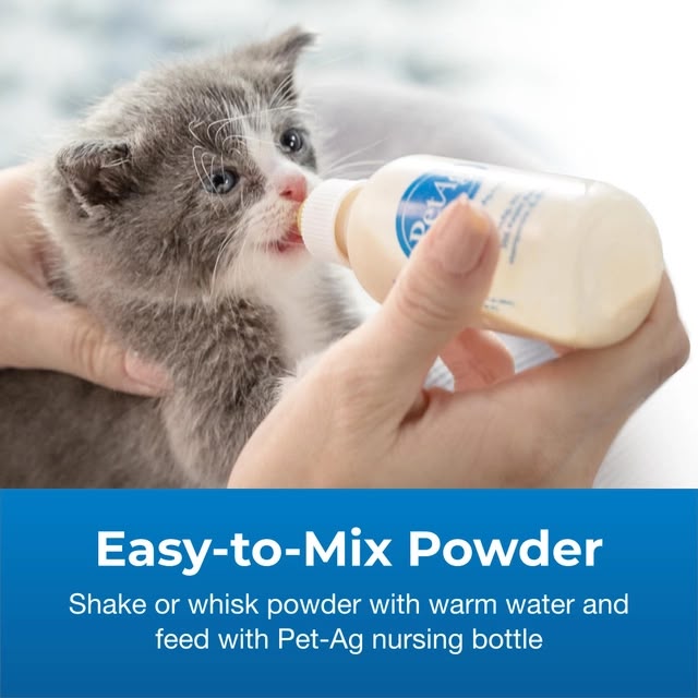 PetAg KMR Goat’s Milk Kitten Milk Replacer – Leche Sustituta para Gatitos
