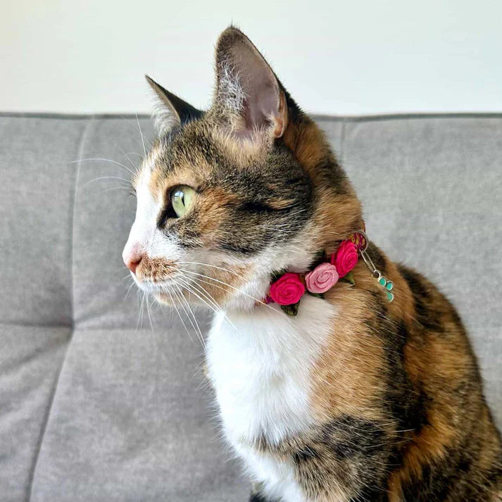 Collar Para Gatos Con Rosas Patos Fucsia
