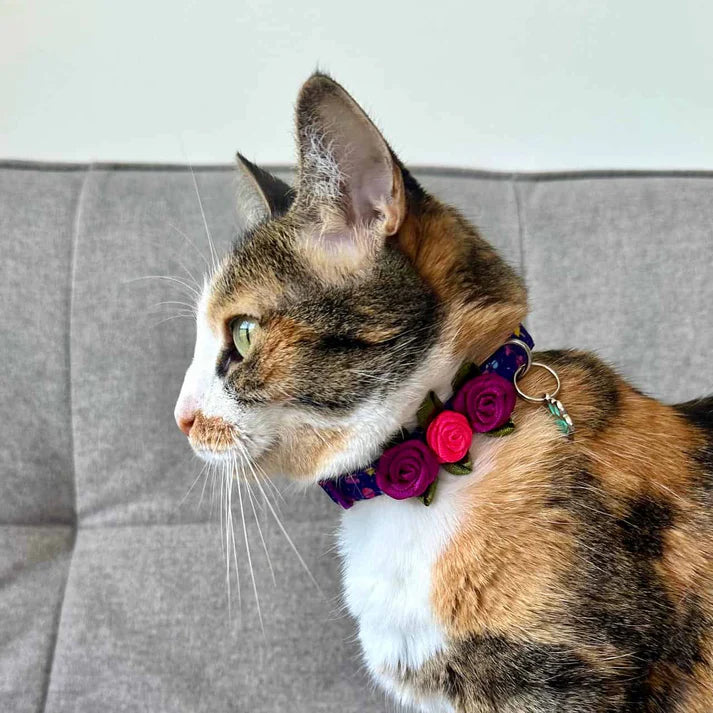 Collar Para Gatos Con Rosas Candy