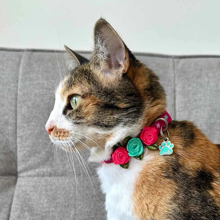 Collar Para Gatos Con Rosas Estrellas