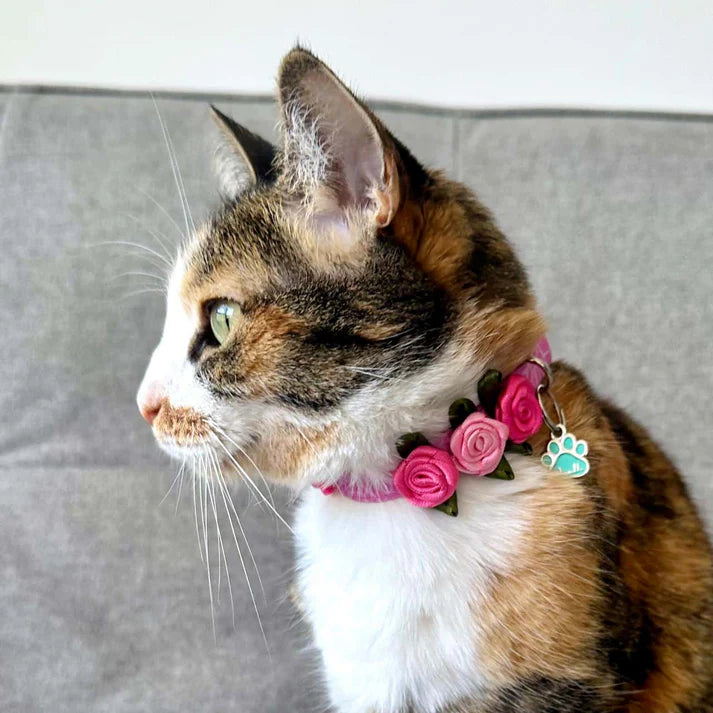 Collar Para Gatos Con Rosas Jirafa