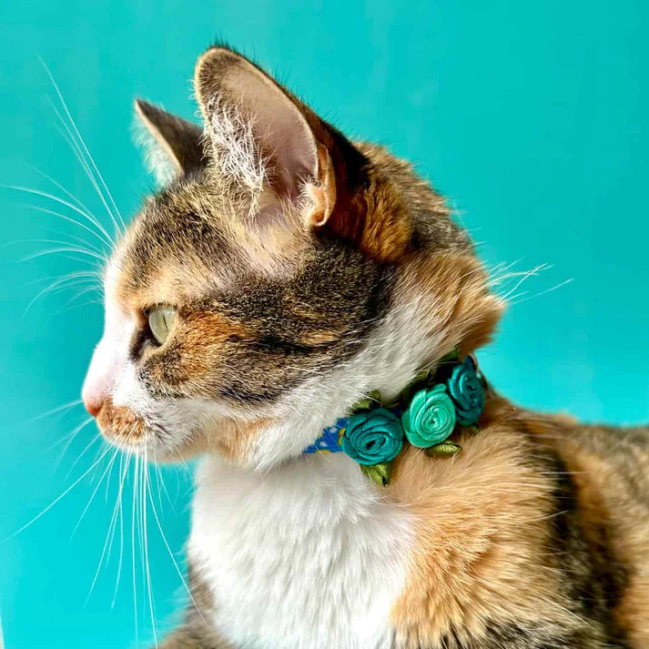 Collar Para Gatos Con Rosas Patos Azul