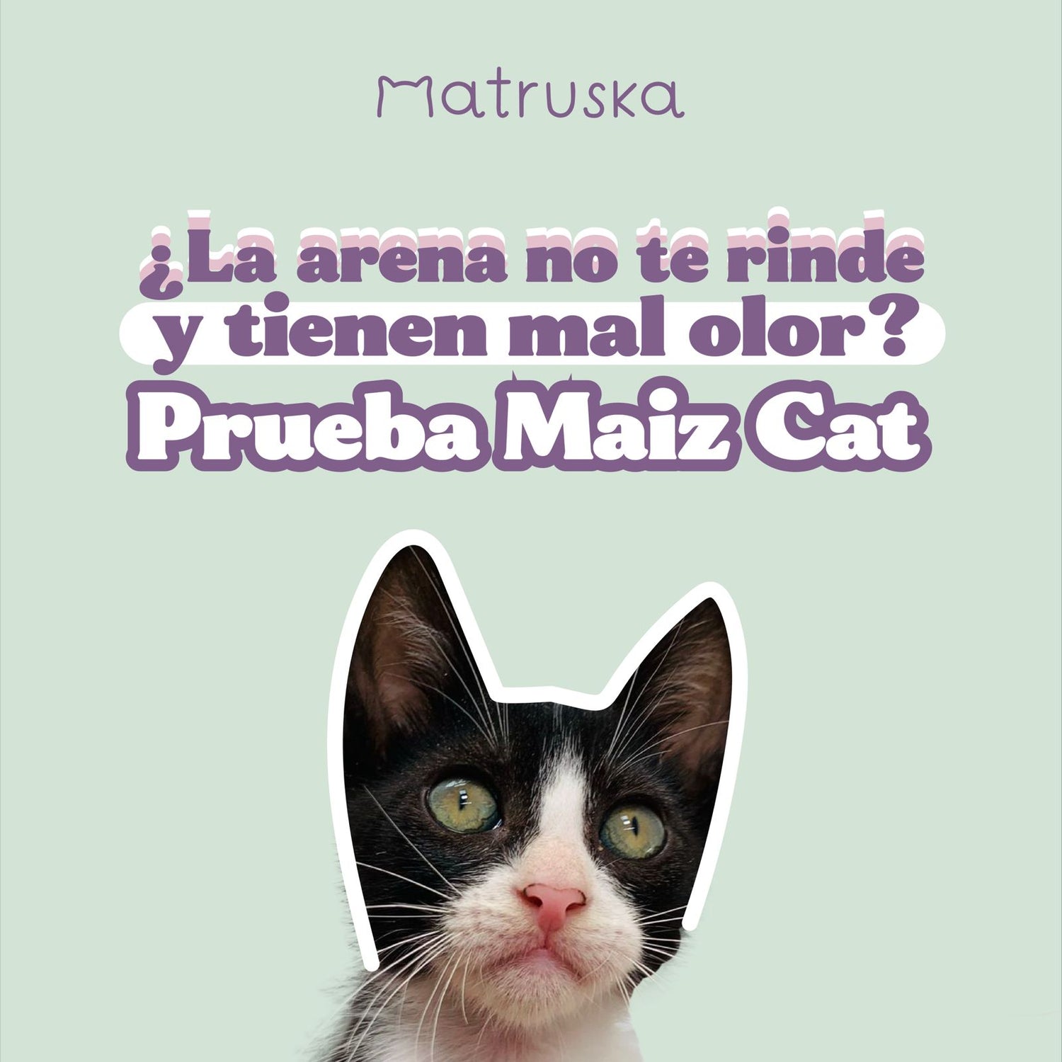 Arena para gatos