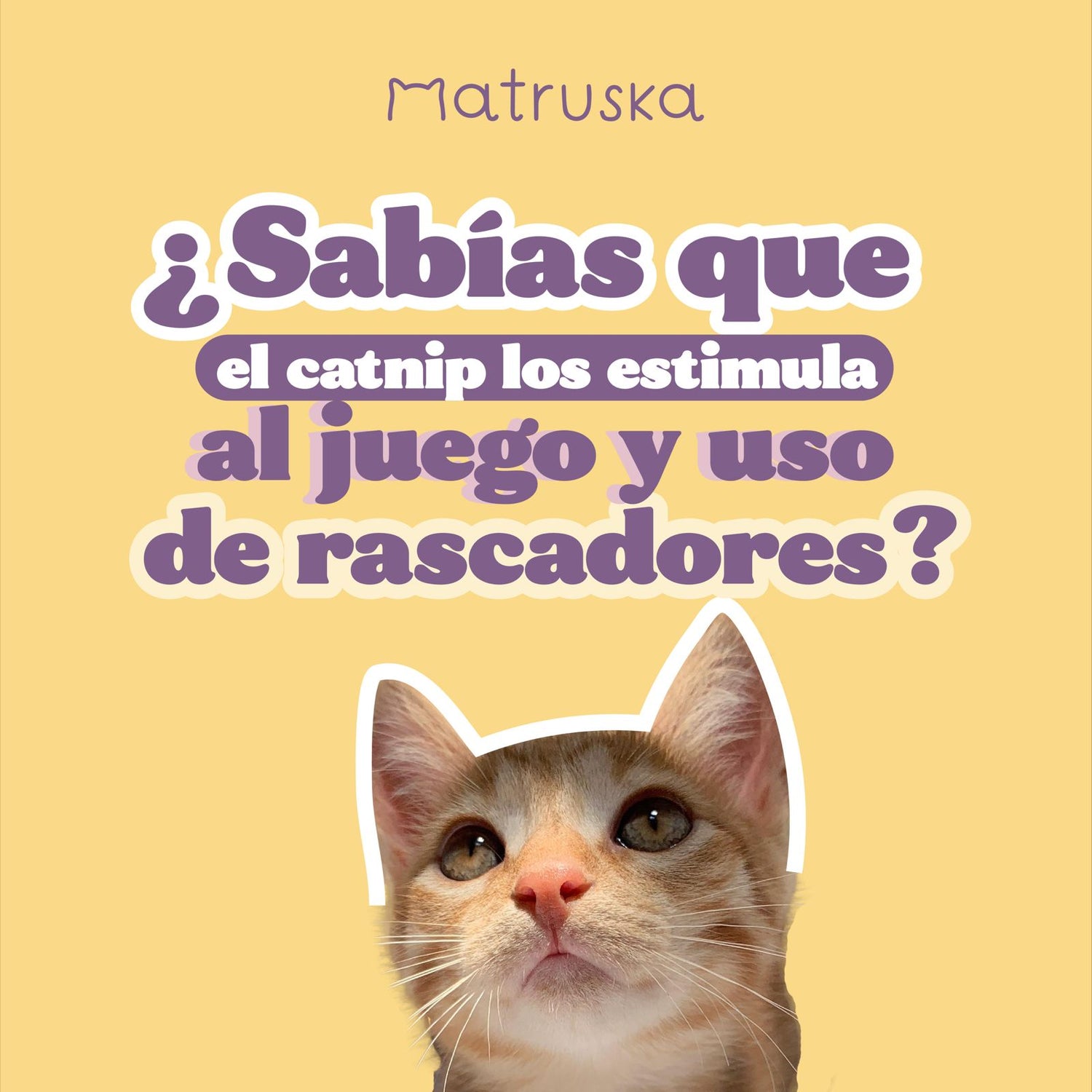 Juguetes para gatos