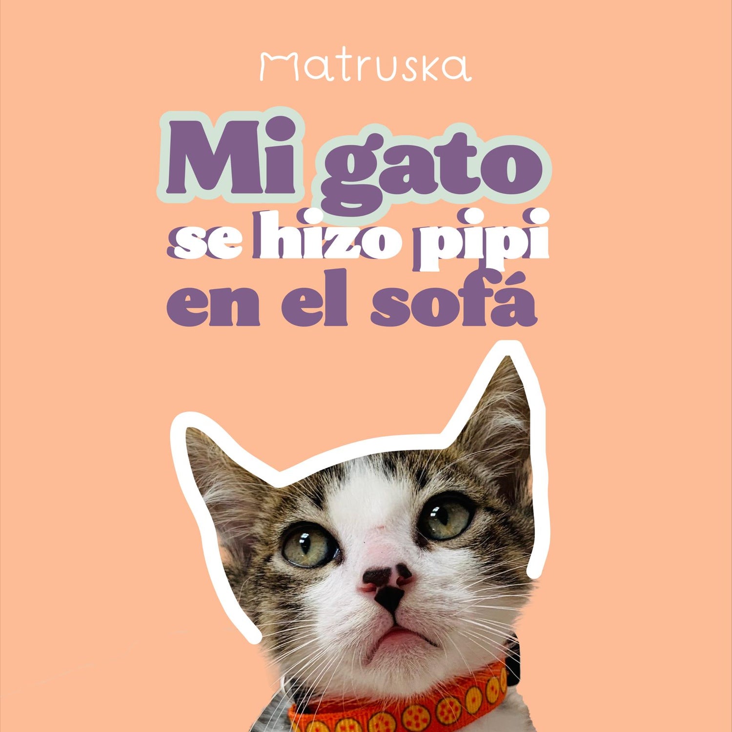 Productos de higiene para gatos