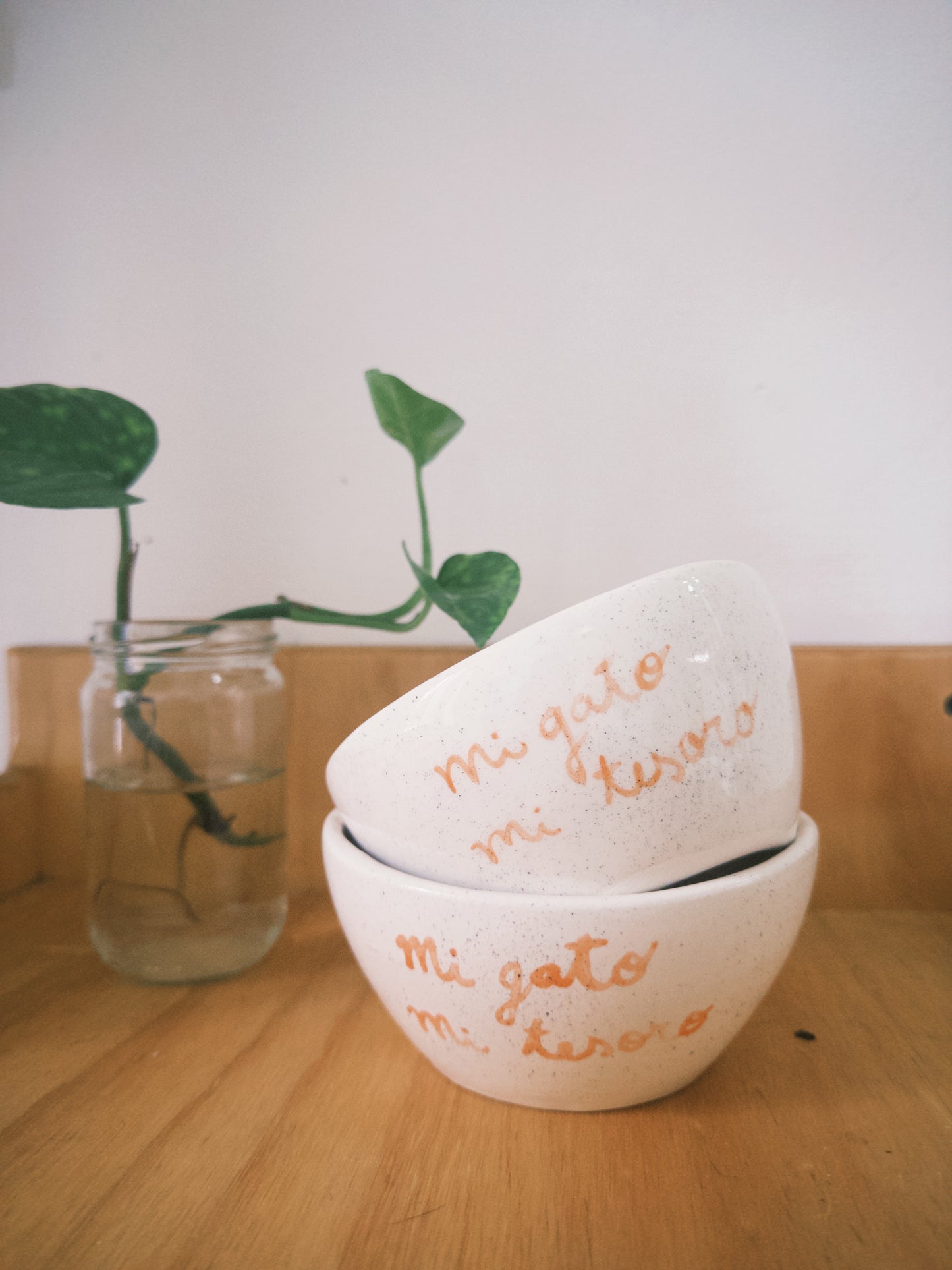 Bowl en Cerámica - Mi gato mi tesoro