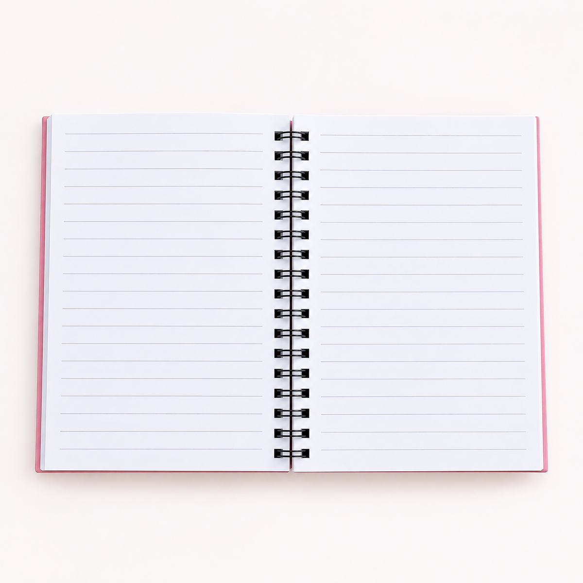 Agenda Argollada - Leti