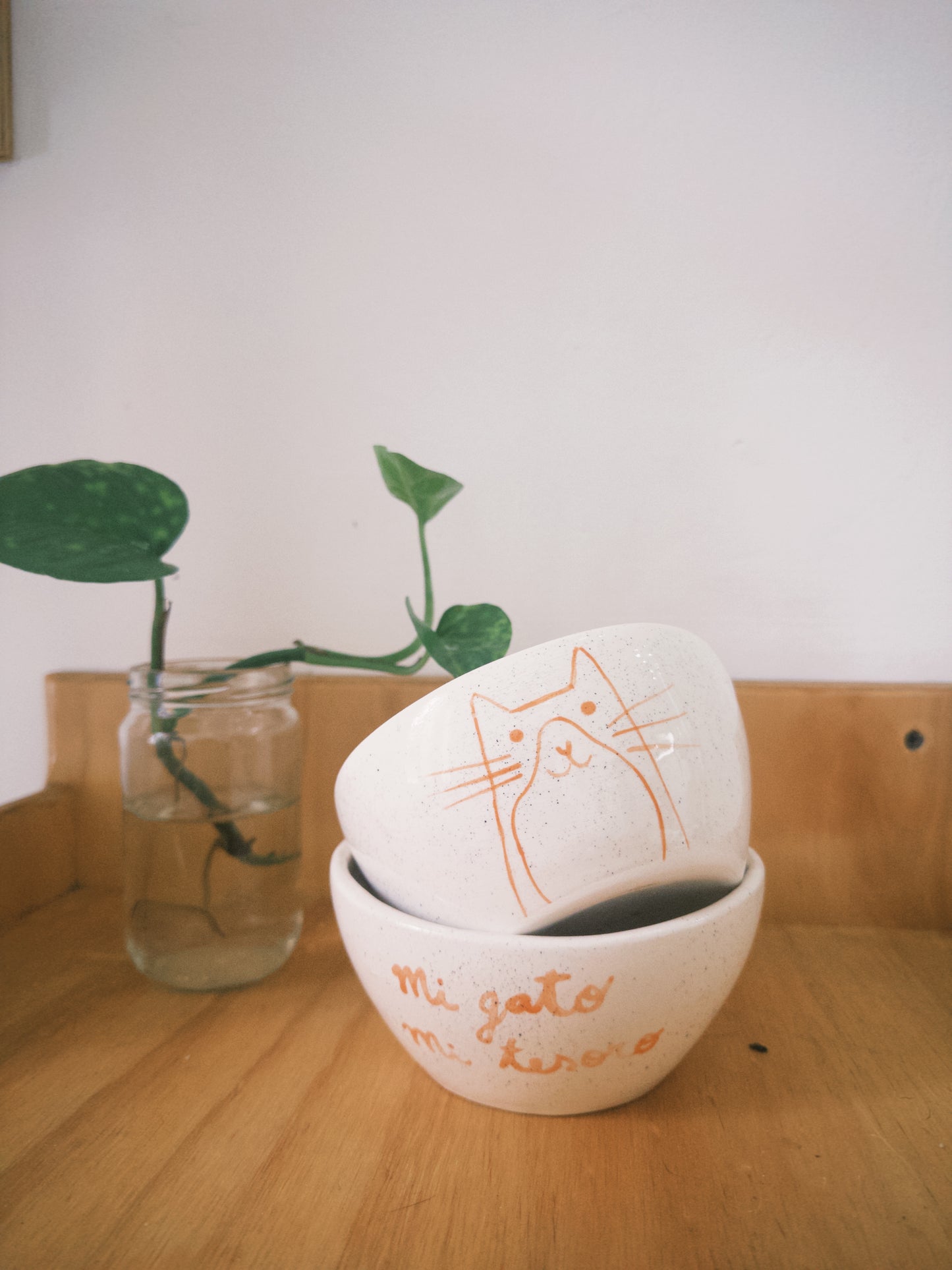 Bowl en Cerámica - Mi gato mi tesoro