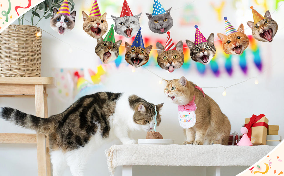 Decoración Cumpleaños Cat Lover