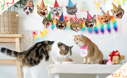 Decoración Cumpleaños Cat Lover