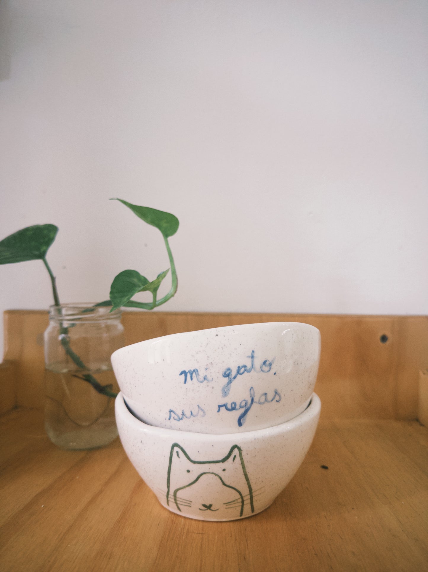 Bowl en Cerámica - Mi Gato Sus Reglas