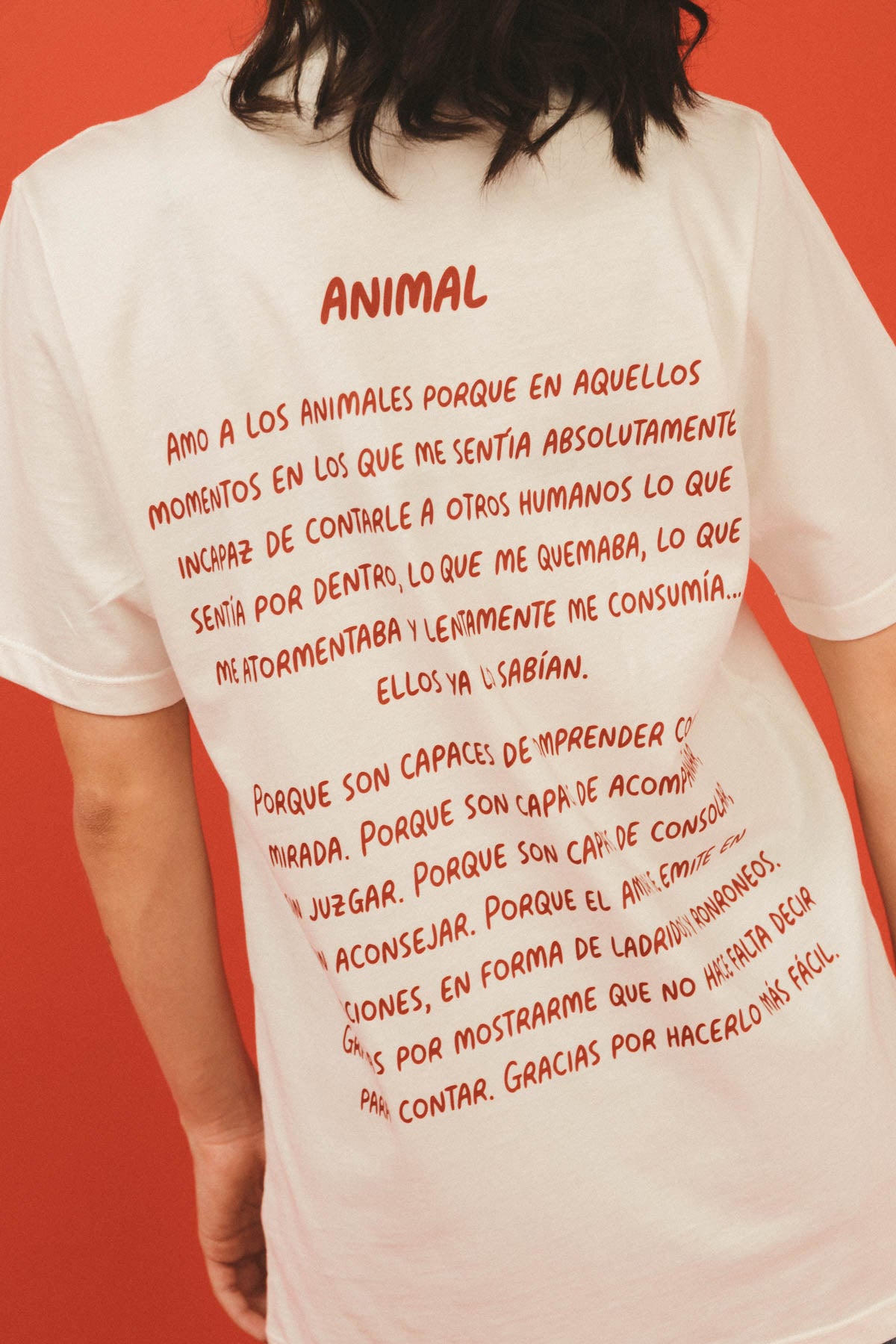 Camiseta Rueditas