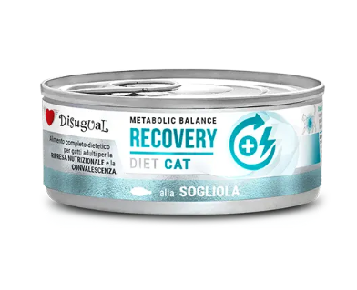 Lata Disugual Recovery - Pescado 85gr
