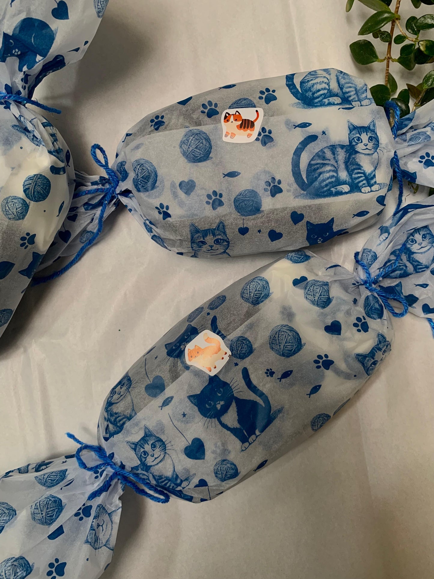 Regalo Medias Gatitos X3 Pares