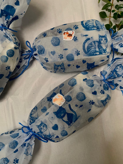 Regalo Medias Gatitos X3 Pares