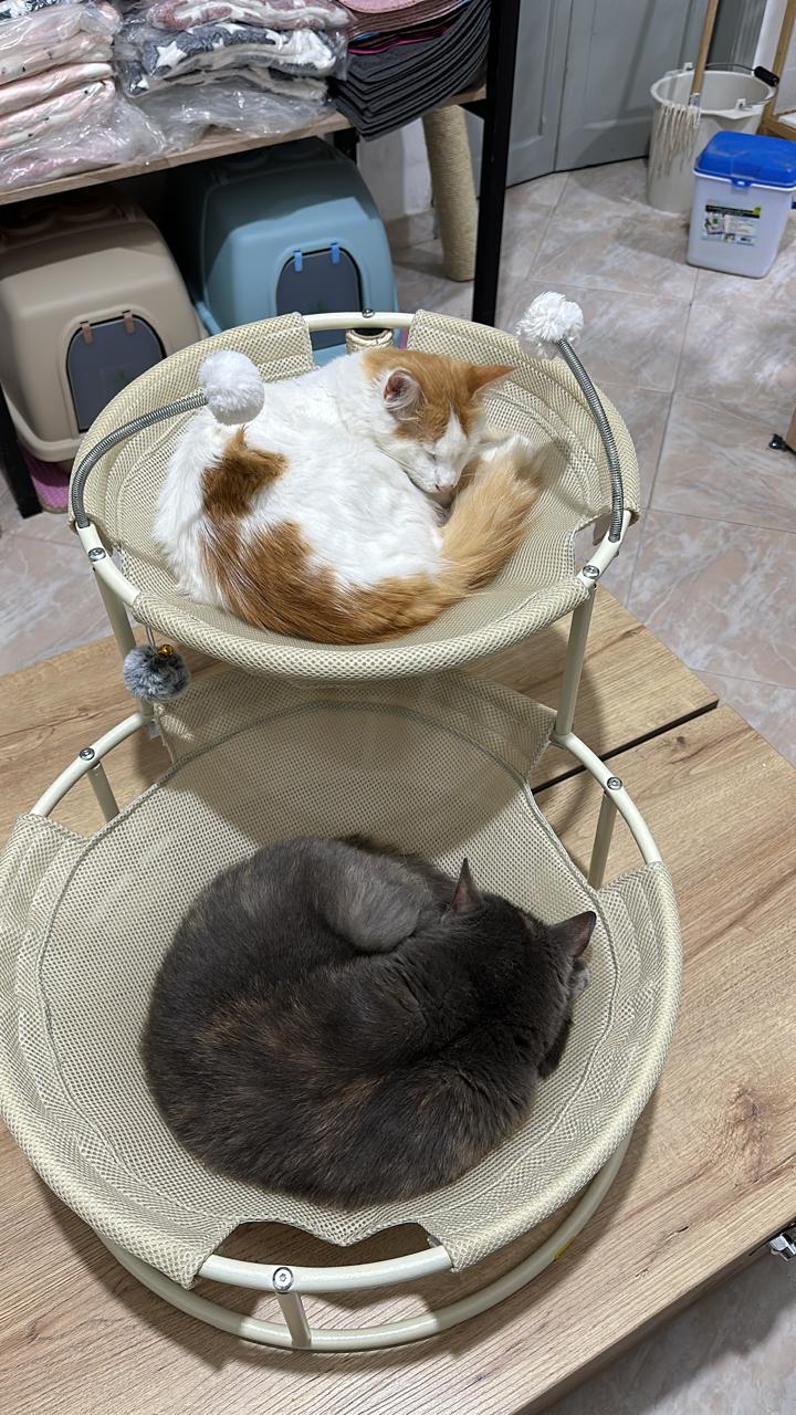 Cama Cuna Dos Niveles