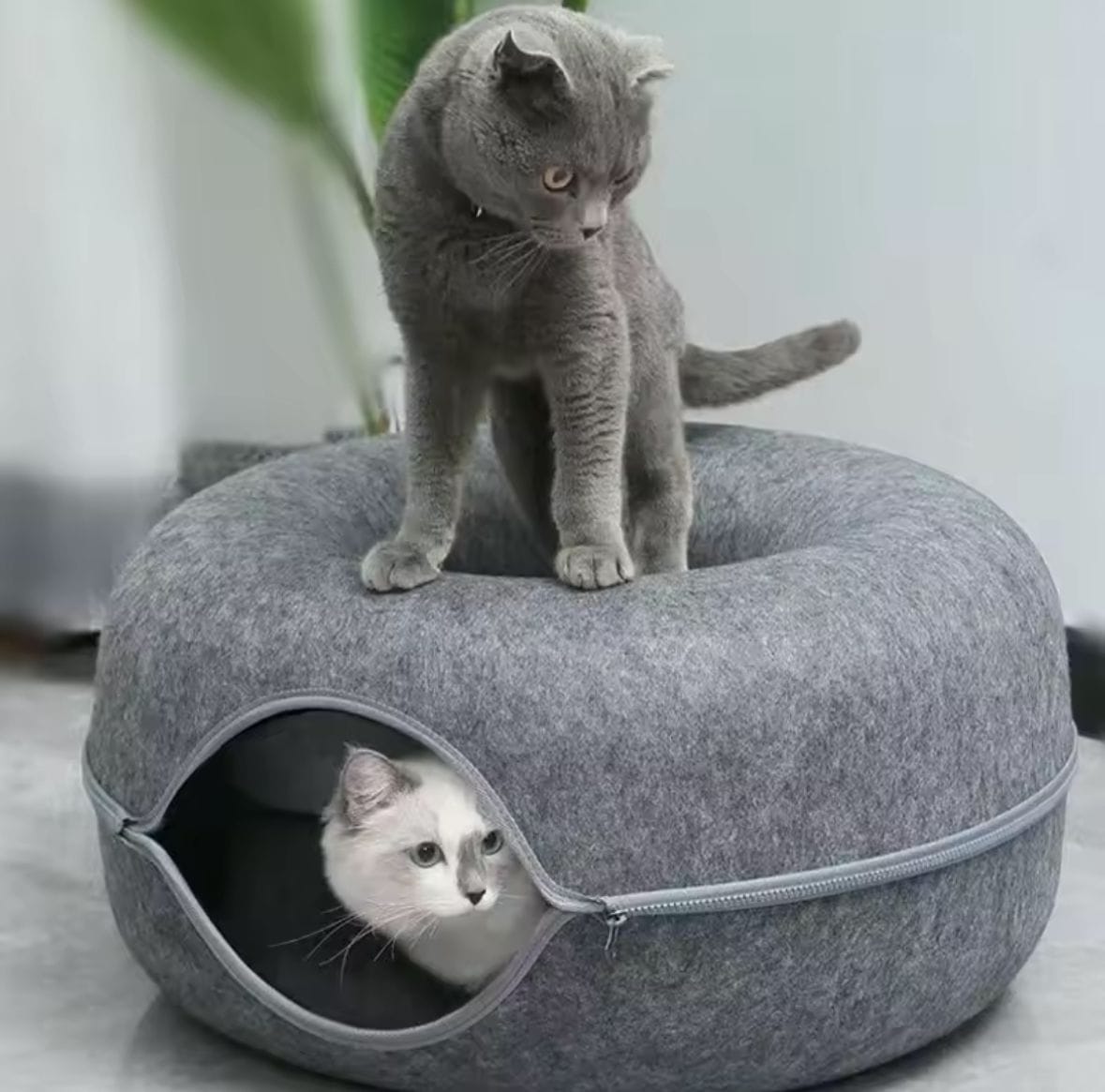 Cama Túnel Tipo Donut