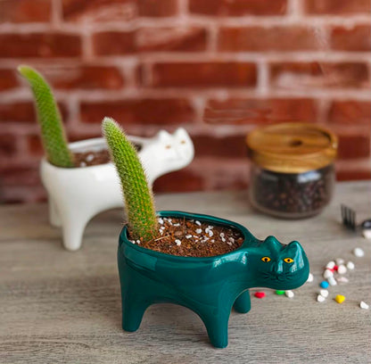 Maceta Decorativa Gato Verde