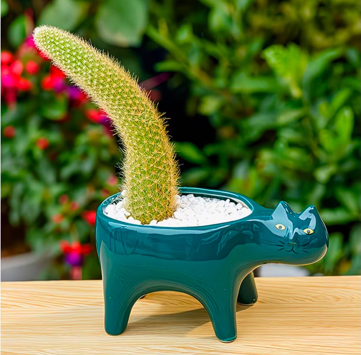 Maceta Decorativa Gato Verde