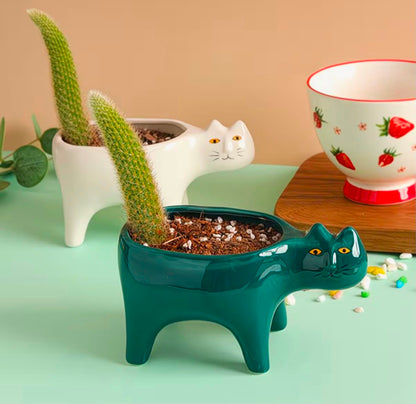Maceta Decorativa Gato Verde