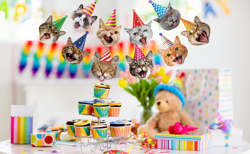 Decoración Cumpleaños Cat Lover