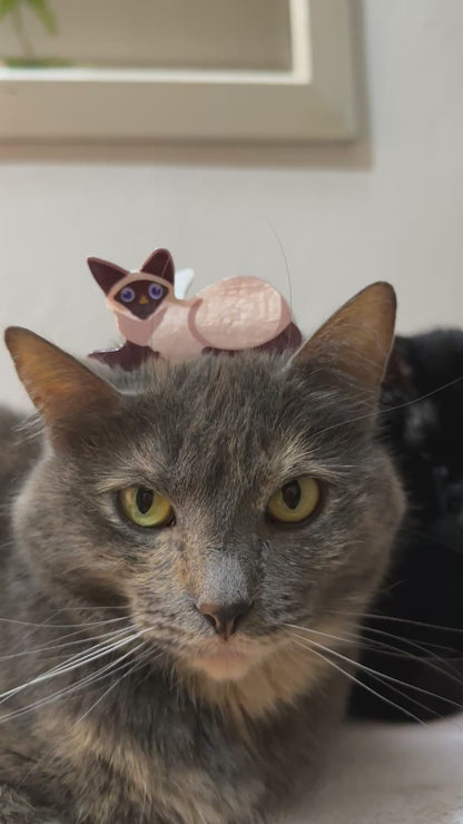 Pinza para el Cabello - Gato Siames