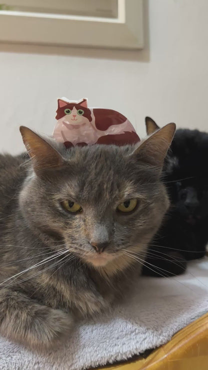 Pinza para el Cabello - Gato Peludo