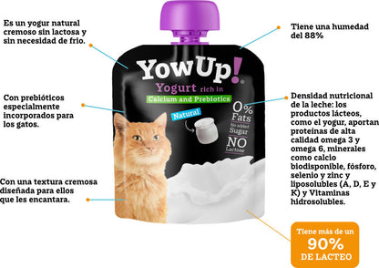 Yogur natural sin Lactosa con Prebióticos para Gatos